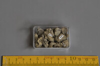 F 01498
<br/>
<br/>
<em></em>